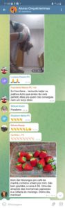 Comunidade Telegram 2